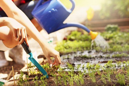 Garden maintenance introduction for The Burroughs