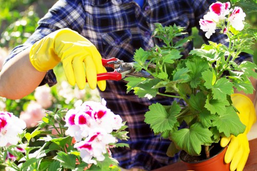 Garden waste pricing and quote assessment in The Burroughs