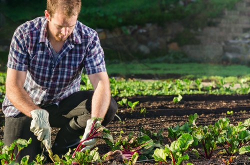 Gardeners The Burroughs commitment to zero tolerance on modern slavery
