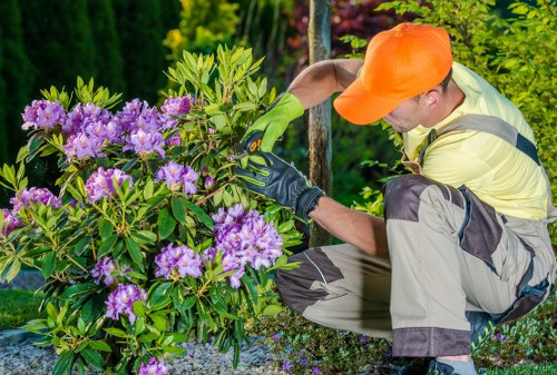 Regular hedge maintenance improving curb appeal in The Burroughs
