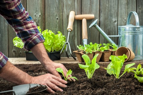 Accessibility statement introduction for Gardeners The Burroughs