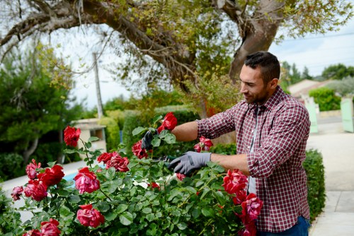Garden service quotation and scheduling process