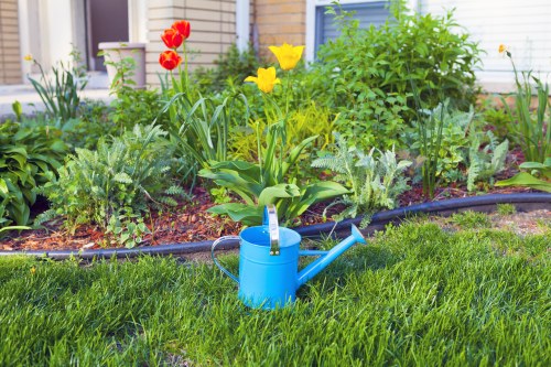 Healthy residential yard with expert lawn care in The Burroughs