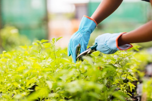 Final legal terms for UK gardening services