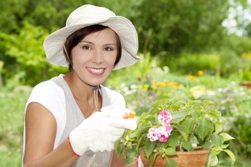 Professional mowing and edging for lawn care in The Burroughs