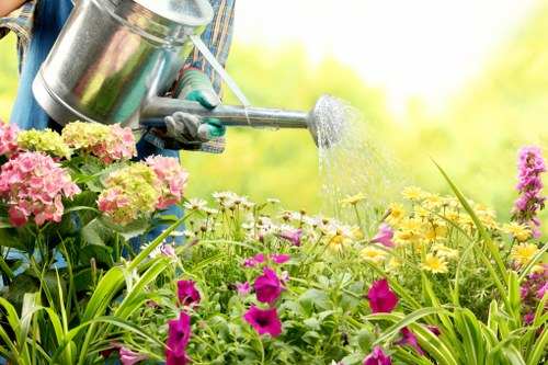 Reliable garden services for The Burroughs homes