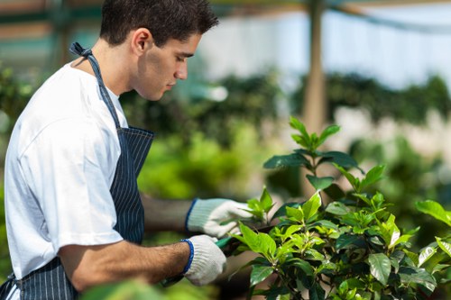 Seasonal gardening services in The Burroughs with pruning and leaf clearance