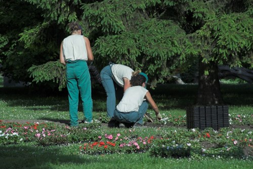 Healthy lawn and soft garden space for landscape gardening in The Burroughs