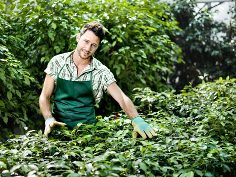 Clean, even lawn mowing results for homes in The Burroughs