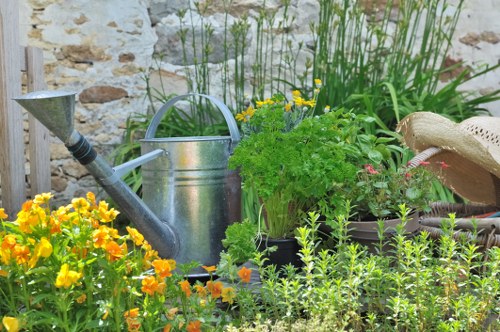 Colorful plant selection for landscape gardening in The Burroughs