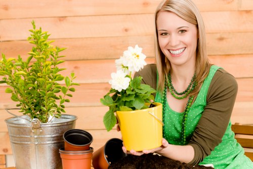 Professional grass cutting improving curb appeal in The Burroughs