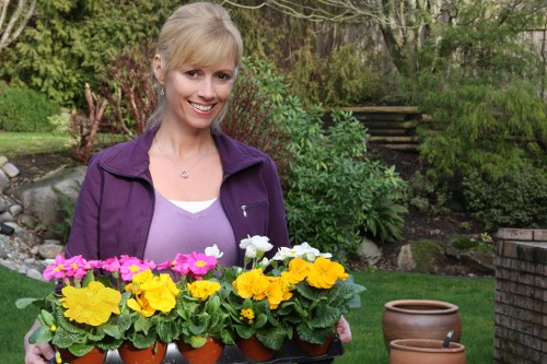 Seasonal planting and lawn care by gardeners in The Burroughs