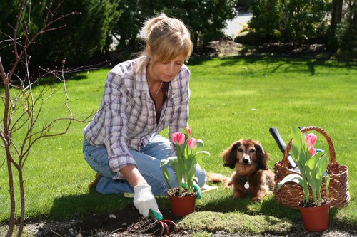 Local transfer station handling garden waste and reusable materials