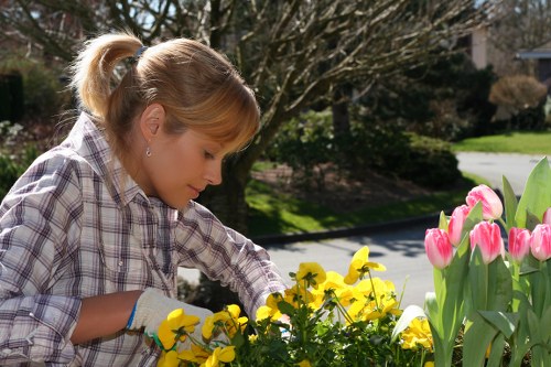 Transparent garden pricing for a busy local home