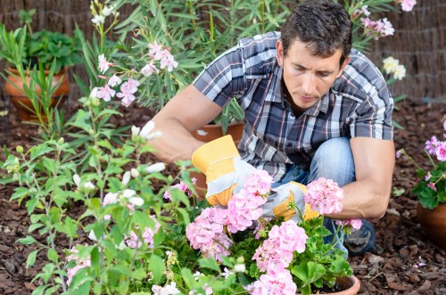 Local gardening care in The Burroughs with neat borders