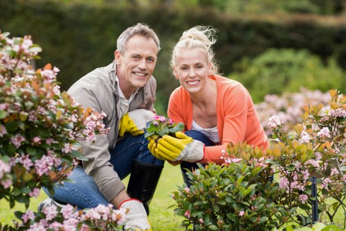 Inclusive access statement for Gardeners The Burroughs