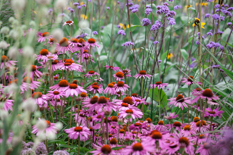 garden design garden