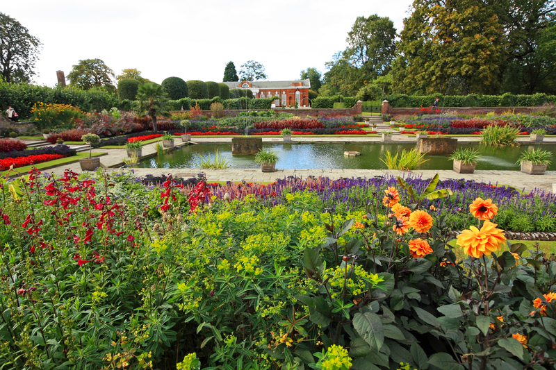 Garden yard