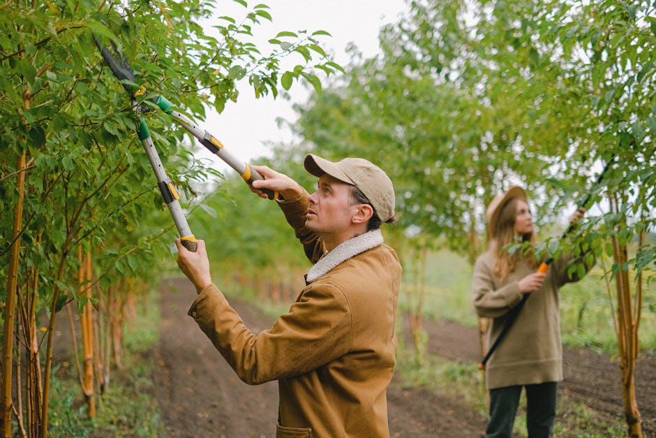 Expert pruning schedule for trees and shrubs in UK gardens